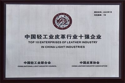 Top 10 Leather Industry Enterprises